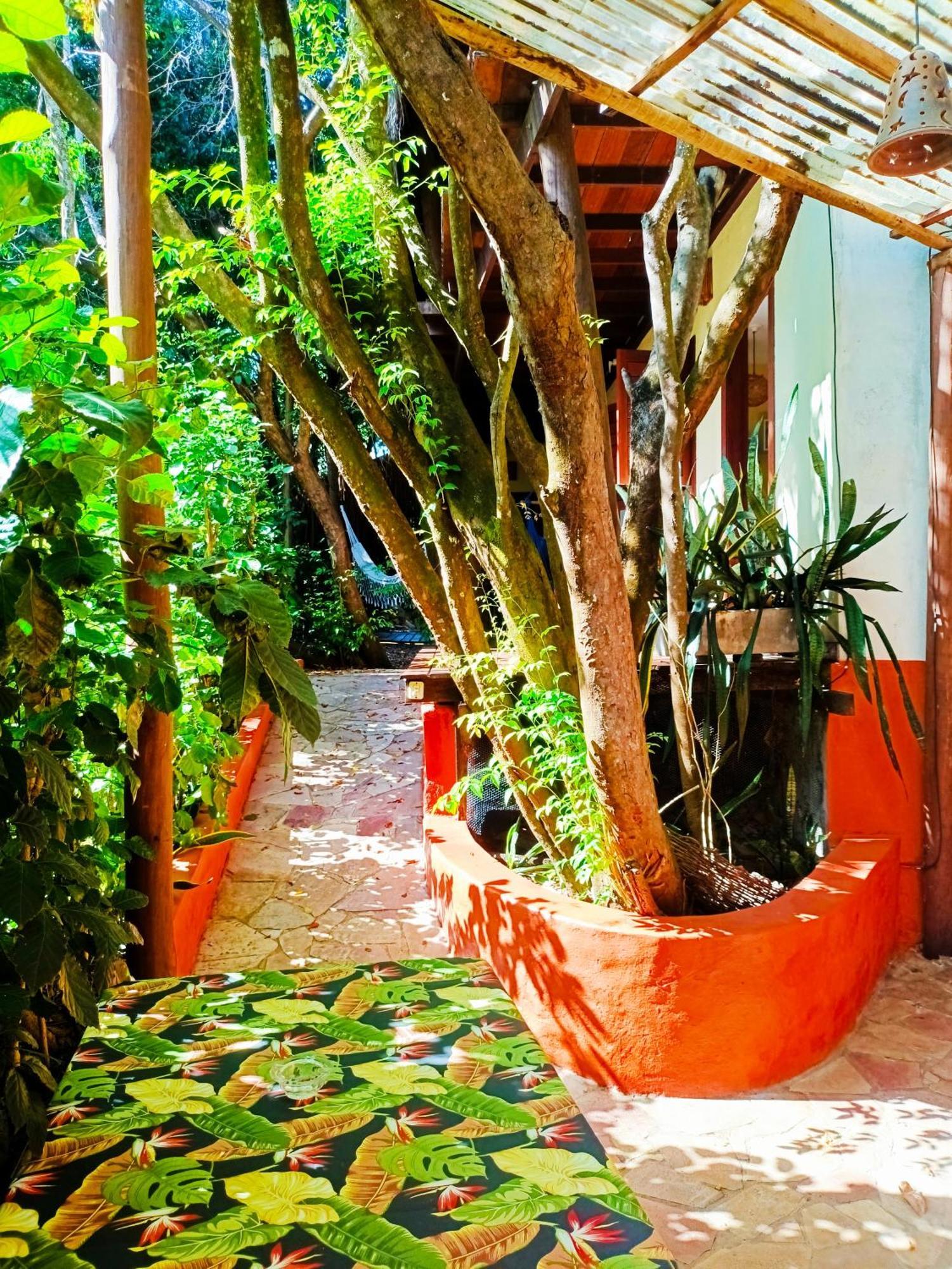 Pipa Zen Guest House Praia de Pipa المظهر الخارجي الصورة